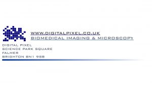 Logo Digital Pixel