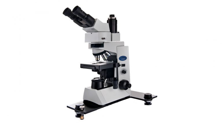 Mikroskop auf Platte frei